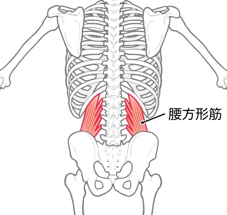 横座りは腰痛の原因？骨盤の偏りとおすすめの床座り｜かなえるリハビリ